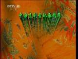 中国京剧音配像精萃 京剧 朱痕记 (杨宝森谢虹雯录音主演)