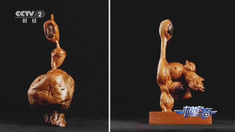 《一槌定音》 20260111