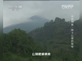地理中国 《地理中国》 20141012 周末特别节目——地球档案-僰王山里的秘密