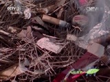 人与自然 《人与自然》 20150215 奇观异事