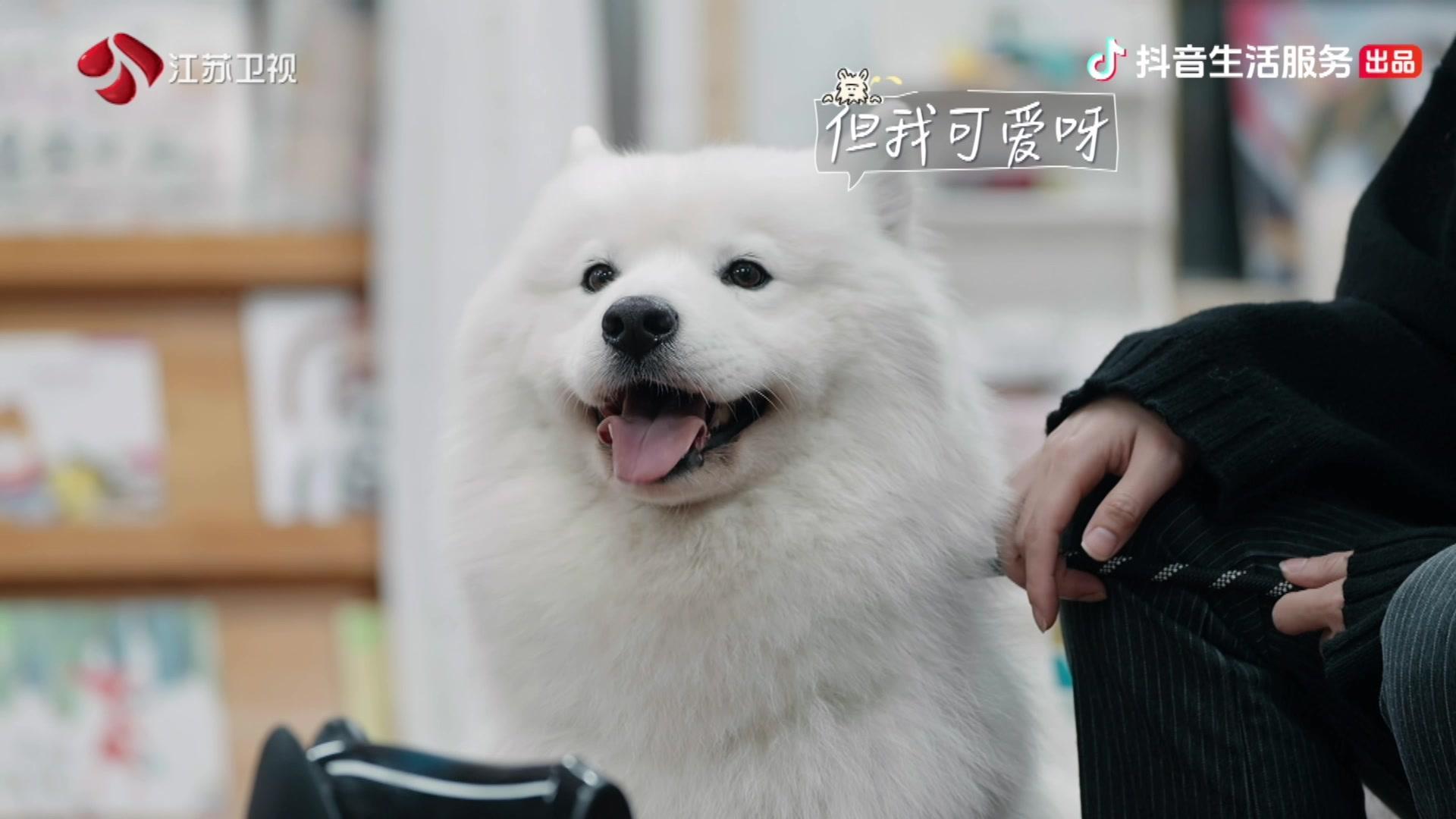 可爱的旅行 第5期