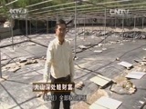 致富经 《致富经》 20151123 大山深处蛙财富
