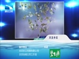 大王小王 《大王小王》 20150619 一位意外的来客（下）