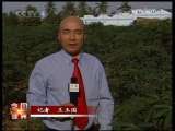 今日亚洲 今日亚洲 2009-10-25