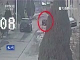 天网 《天网》 20180510 背后的眼睛