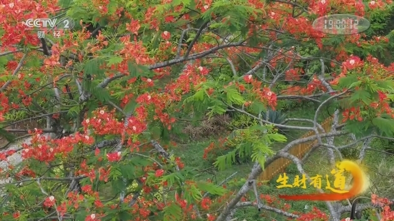 生财有道 《生财有道》 20221031 儋州风味热经济