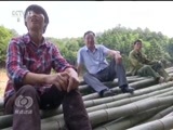 焦点访谈 《焦点访谈》 20170712 山林里蹚出致富路