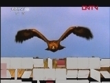 自然传奇 动物战场（一）[自然传奇] 20120204