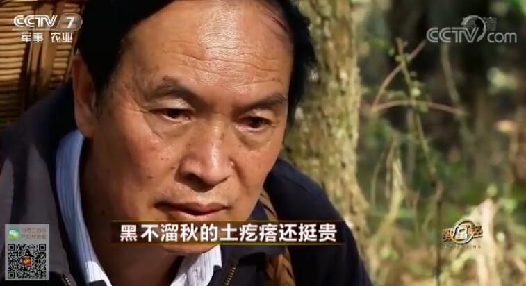 致富经 [致富经]黑不溜秋的土疙瘩还挺贵 20180213