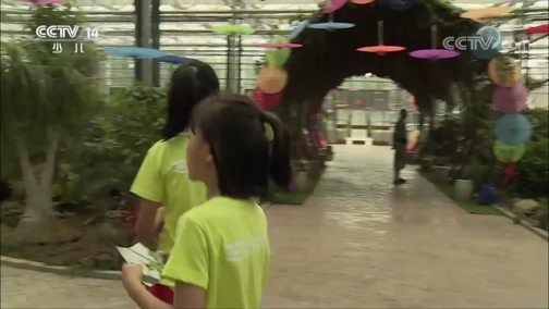芝麻开门【央视】 《芝麻开门》 20190803 挑战大现场 农业王国大挑战