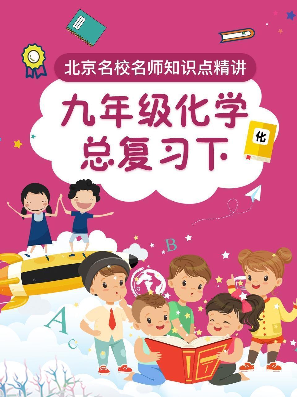 九年级化学总复习下