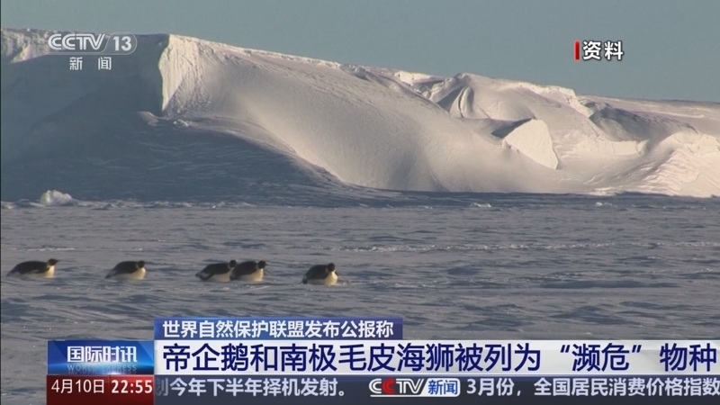 《国际时讯》 20260410