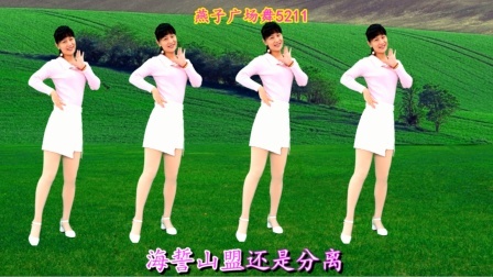 广场舞《有没有一种思念永不疲惫》附分解动作