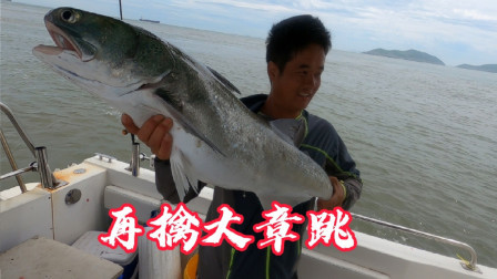 今天才是重头戏，钓上来的全是100多一斤的，这样的海钓你心动吗