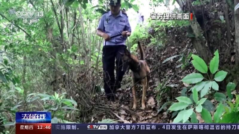 法治在线 《法治在线》 20220908
