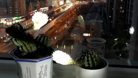 城市直通车 花开花落终有时一部手机全记录