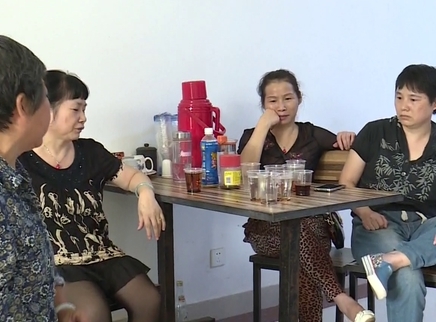 寻情记 手足兄妹怎能成路人