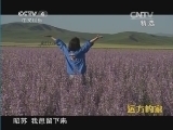 远方的家 《远方的家》 20140927 边疆行（68）在那遥远的地方：昭苏