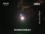 走近科学 《走近科学》 20151126 探洞系列之洞穴宝藏