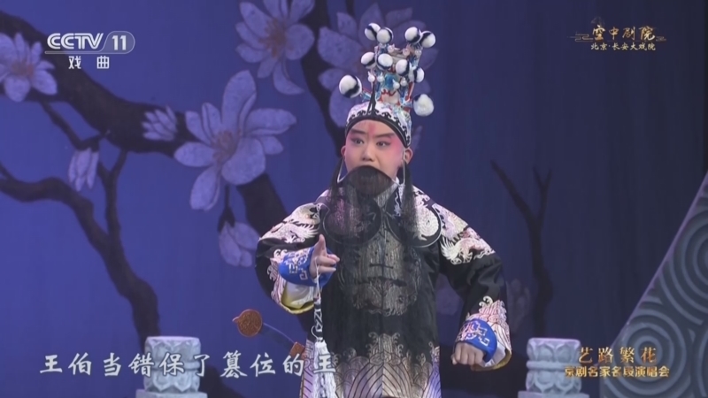 CCTV空中剧院 《CCTV空中剧院》 20240706 艺路繁花 京剧名家名段演唱会