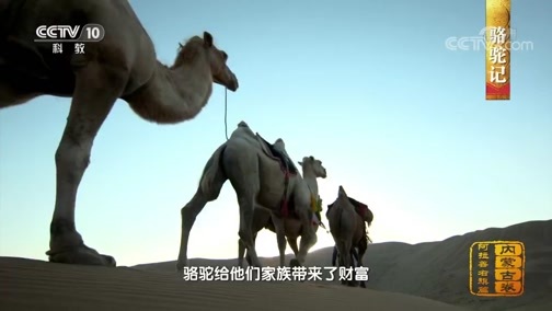 中国影像方志 《中国影像方志》 第475集 内蒙古阿拉善右旗篇