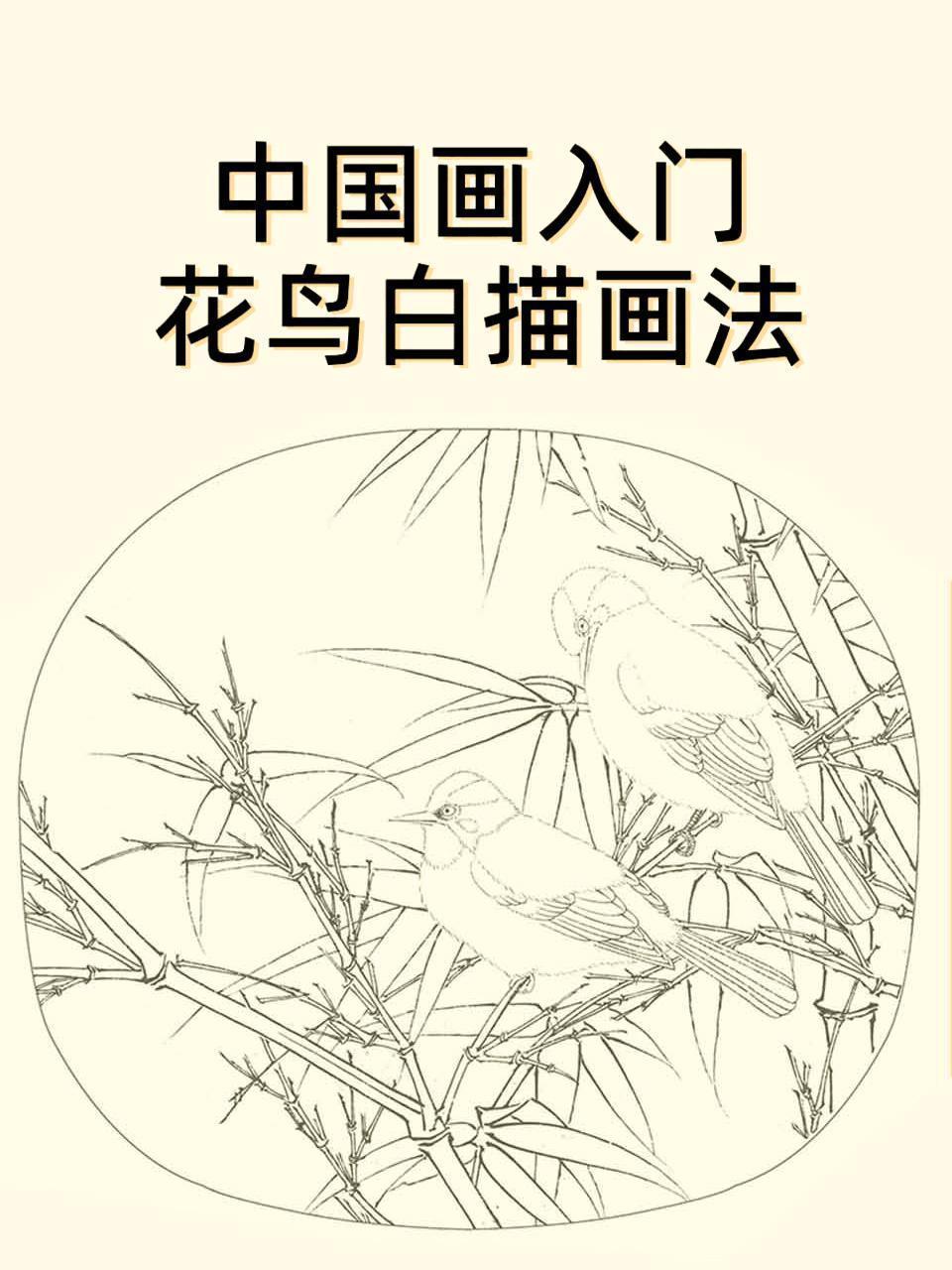 中国画入门花鸟白描画法