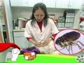 狗狗日记 第94天 跳蚤走开