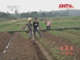 县域经济报道 《县域经济报道》 20111207
