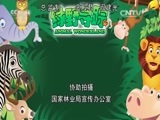 绿野寻踪 《绿野寻踪》丑丑教你用指南针和手表辨别方向