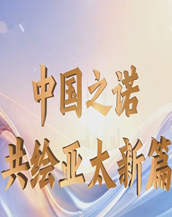 中国之诺共绘亚太新篇 海报