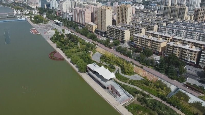 《天网》 20251013 梦断情网