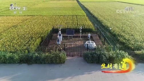 生财有道 《生财有道》 20191206 咱们家乡有特产 鸭绿江畔稻谷香