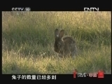 地理中国 《地理中国》 20121103 孤岛梦魇