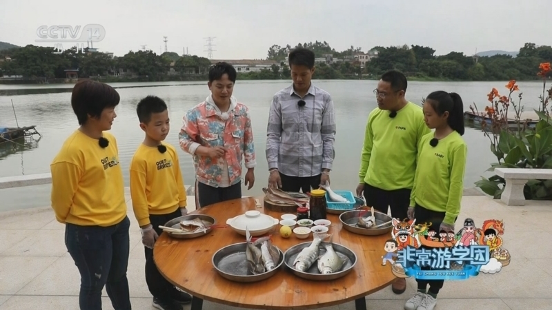 动感特区 《动感特区》 20240321 非常游学团 幸福诗篇——记忆中的乡情