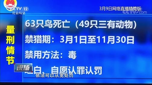 现场 《现场》 20200328 抗“疫”前线法治报道 毒猎野生动物案