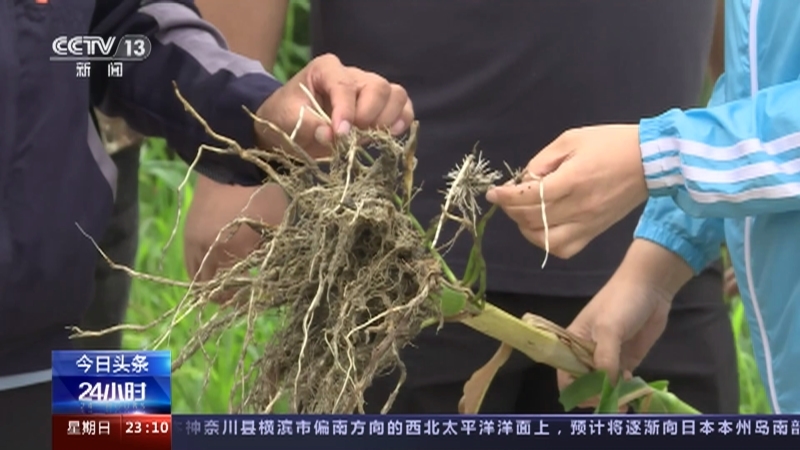 24小时 《24小时》 20230813