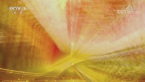 《致敬国家勋章和国家荣誉称号获得者》 20200720 “人民教育家”国家荣誉称号获得者:高铭暄