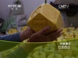 走近科学 《走近科学》 20150810 百变西瓜