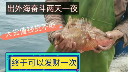 南澳岛赶海日记 彪哥远征外海过夜捕鱼，大货跟大石斑鱼接连上，好多年没这么激动