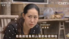 致富经 [致富经]他靠娃娃鱼和山里的秘密赚钱 20160525