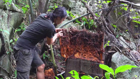 原始丛林人苏门答腊 第二季 独自生活在荒野，找点食材来顿小烧烤，就是有点太热了