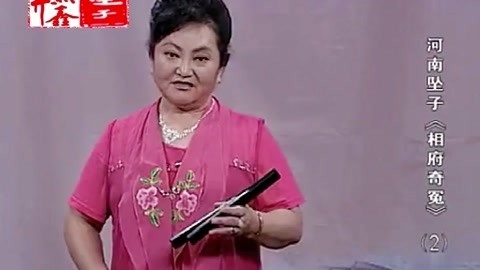 河南坠子 河南坠子 相府奇冤 二部