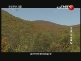 地理中国 《地理中国》 20130103 五岳·中岳嵩山
