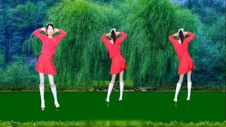 流行DJ广场舞及教学 第三季 新潮情歌DJ广场舞《姑娘我爱上你》正背面演示+分解