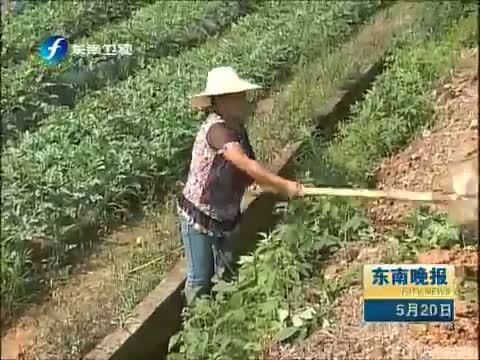 东南晚报 《东南晚报》 20140520
