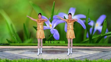 简单动感广场舞《欢乐的跳吧》16步附教学