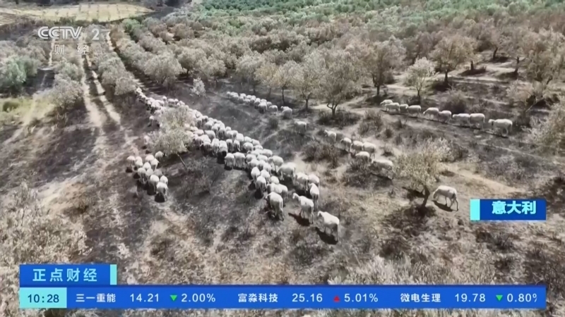 正点财经 《正点财经》 20260722 10:00