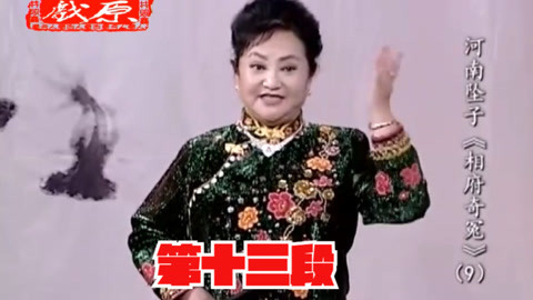 河南坠子《相府奇冤》