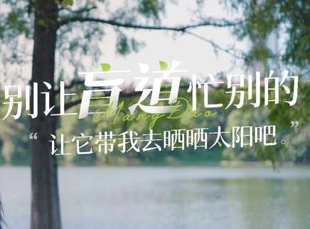 青春扬益 2024 《别让盲道忙别的》