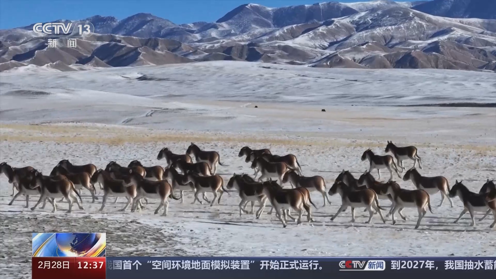 法治在线 《法治在线》 20240228
